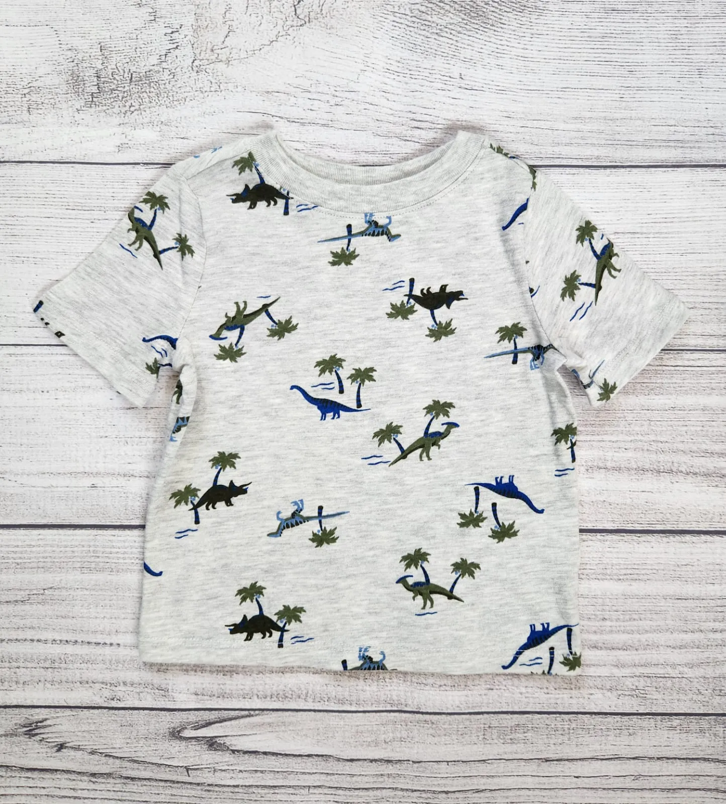 Dinosaur Island Tee