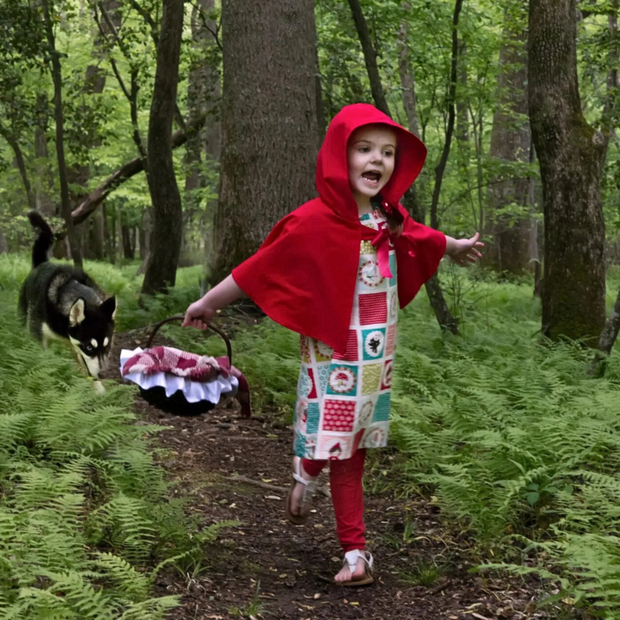 Halloween Red Riding Hood Costume