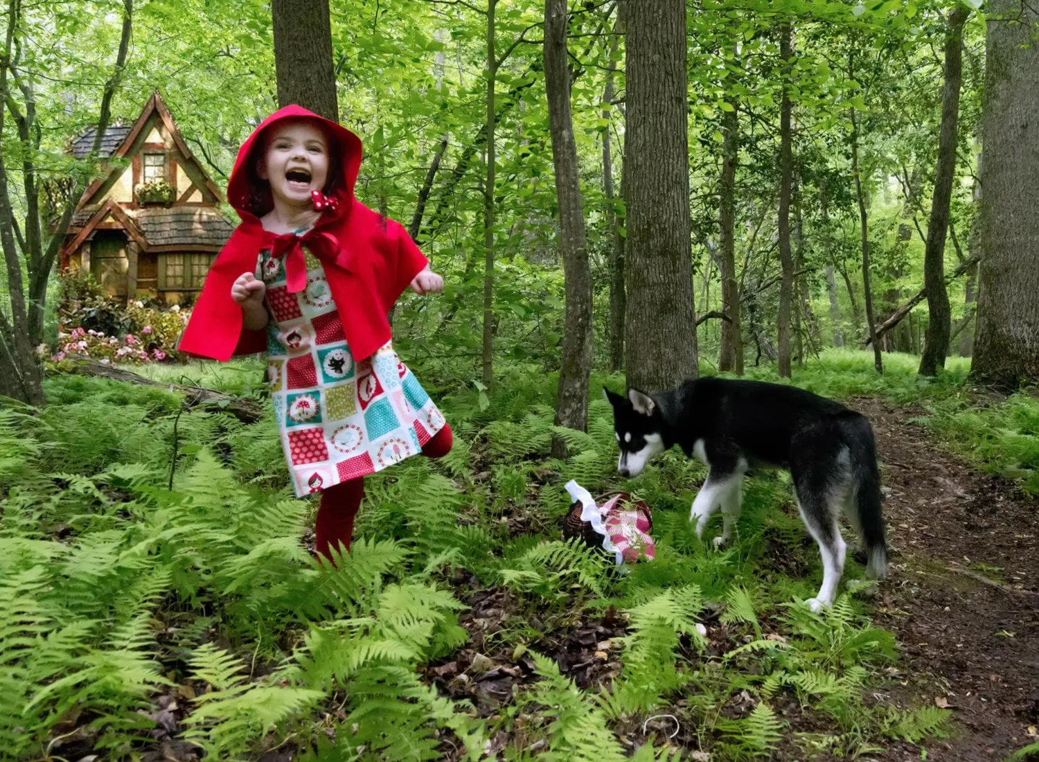 Halloween Red Riding Hood Costume