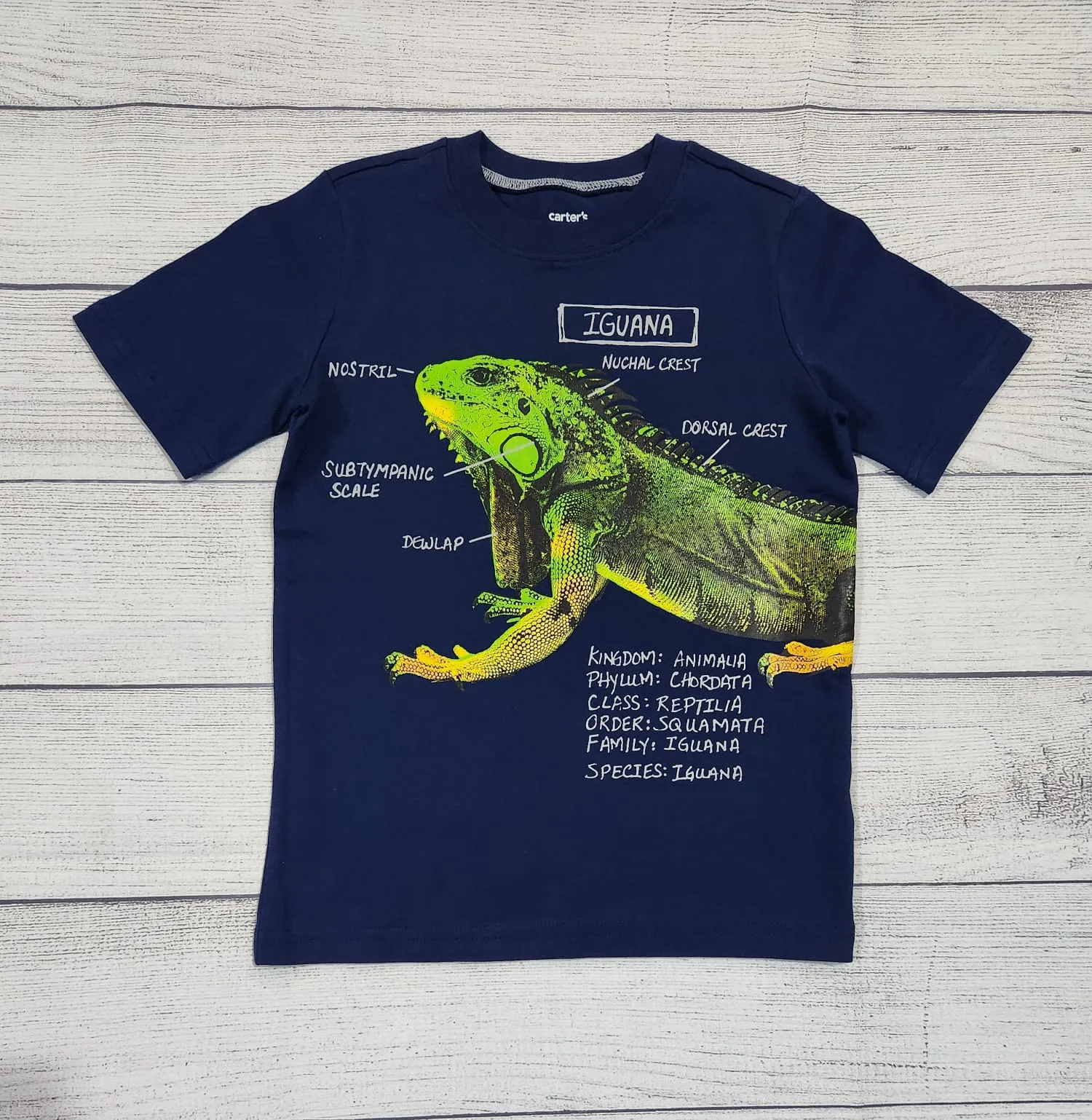 Iguana Graphic Tee